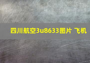 四川航空3u8633图片 飞机